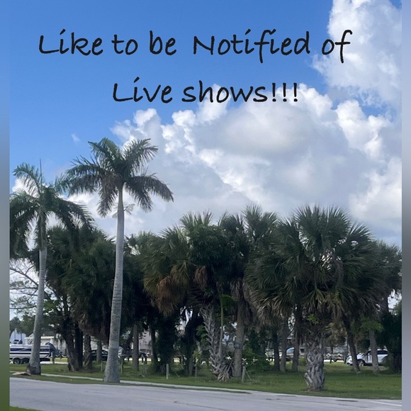 LIVE/SILENT SHOW listing - Picture 2 of 16